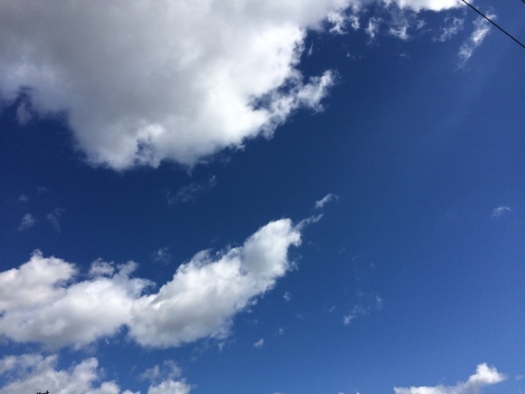 d0239796_10494541.jpeg