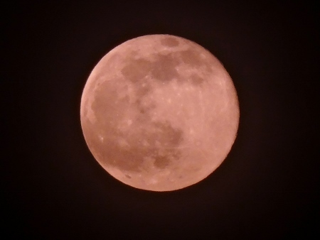 a0125598_20122348.jpg