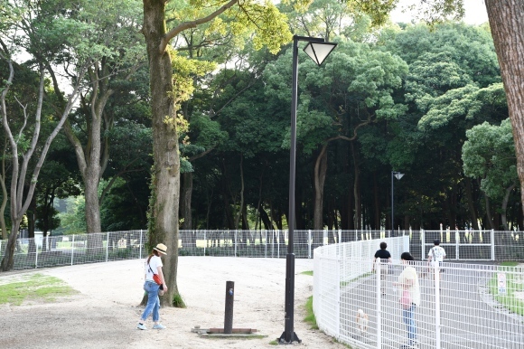 b0188998_20552327.jpg