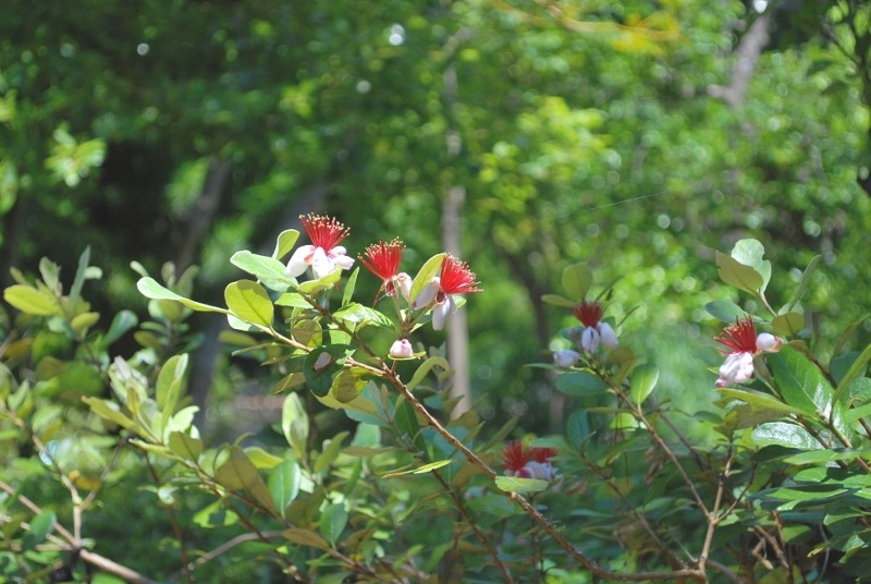 e0025300_2020229.jpg