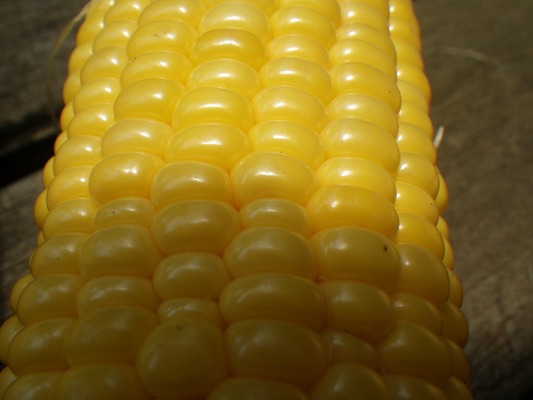 f0187402_2342732.jpg