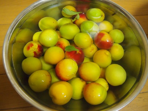 c0117007_8442277.jpg