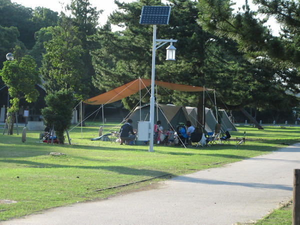 f0231709_10295212.jpg