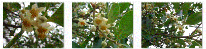 f0231709_14145652.gif
