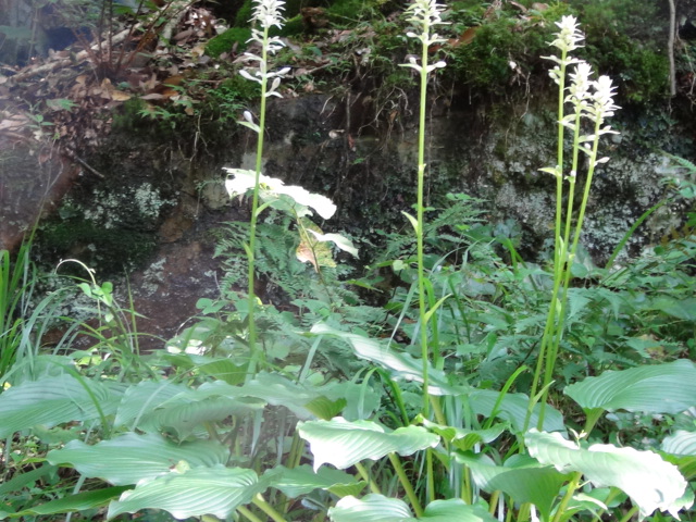 f0231709_15522974.jpg