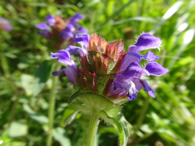 f0231709_16111777.jpg