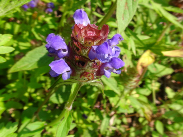 f0231709_16122583.jpg