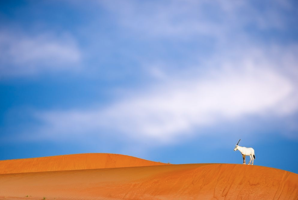 b0150018_08541244.png