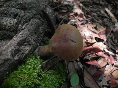 e0352220_18392589.jpg