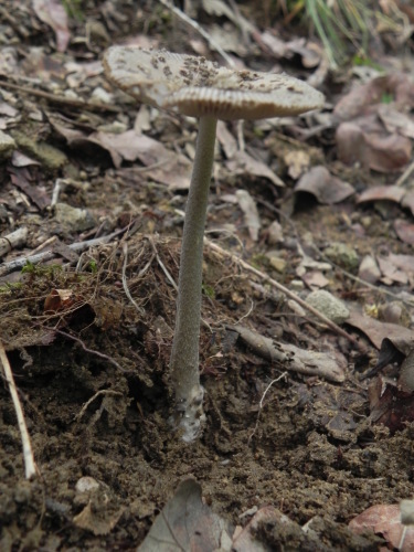 e0352220_19055016.jpg