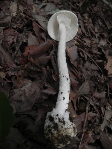e0352220_21261180.jpg