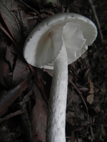 e0352220_21264723.jpg