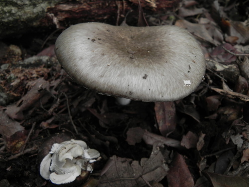 e0352220_21273595.jpg