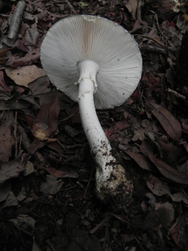 e0352220_21290408.jpg