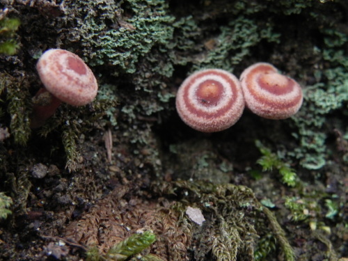 e0352220_21304325.jpg