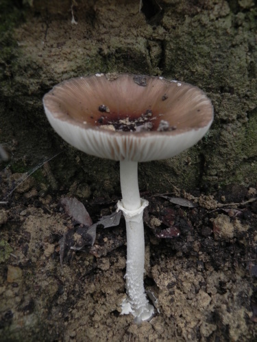 e0352220_21333449.jpg