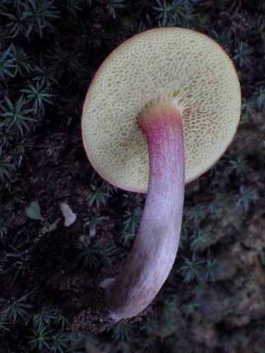 e0352220_21505547.jpg