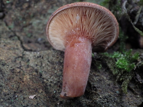 e0352220_22040310.jpg