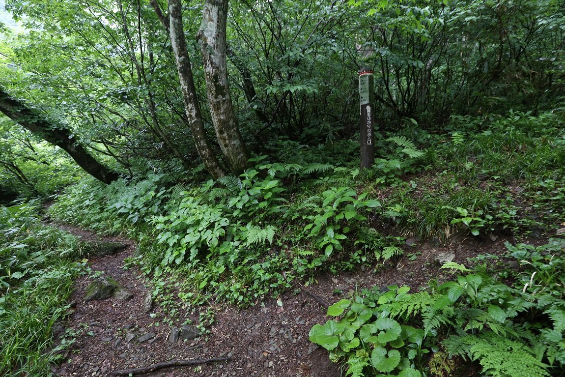 b0062024_210650.jpg
