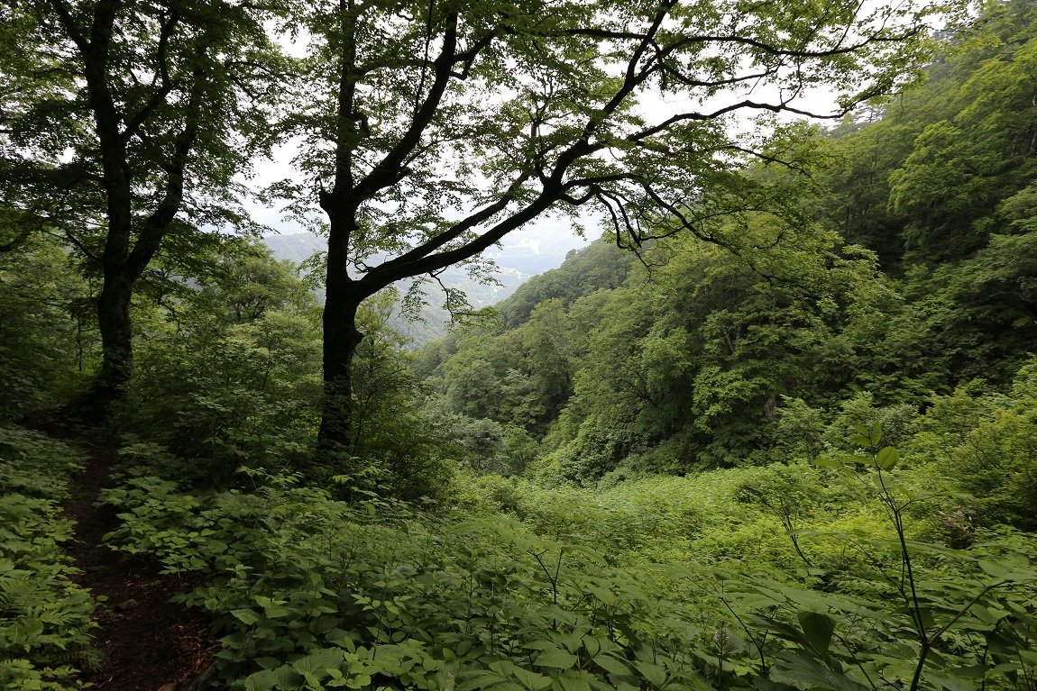 b0062024_21295052.jpg