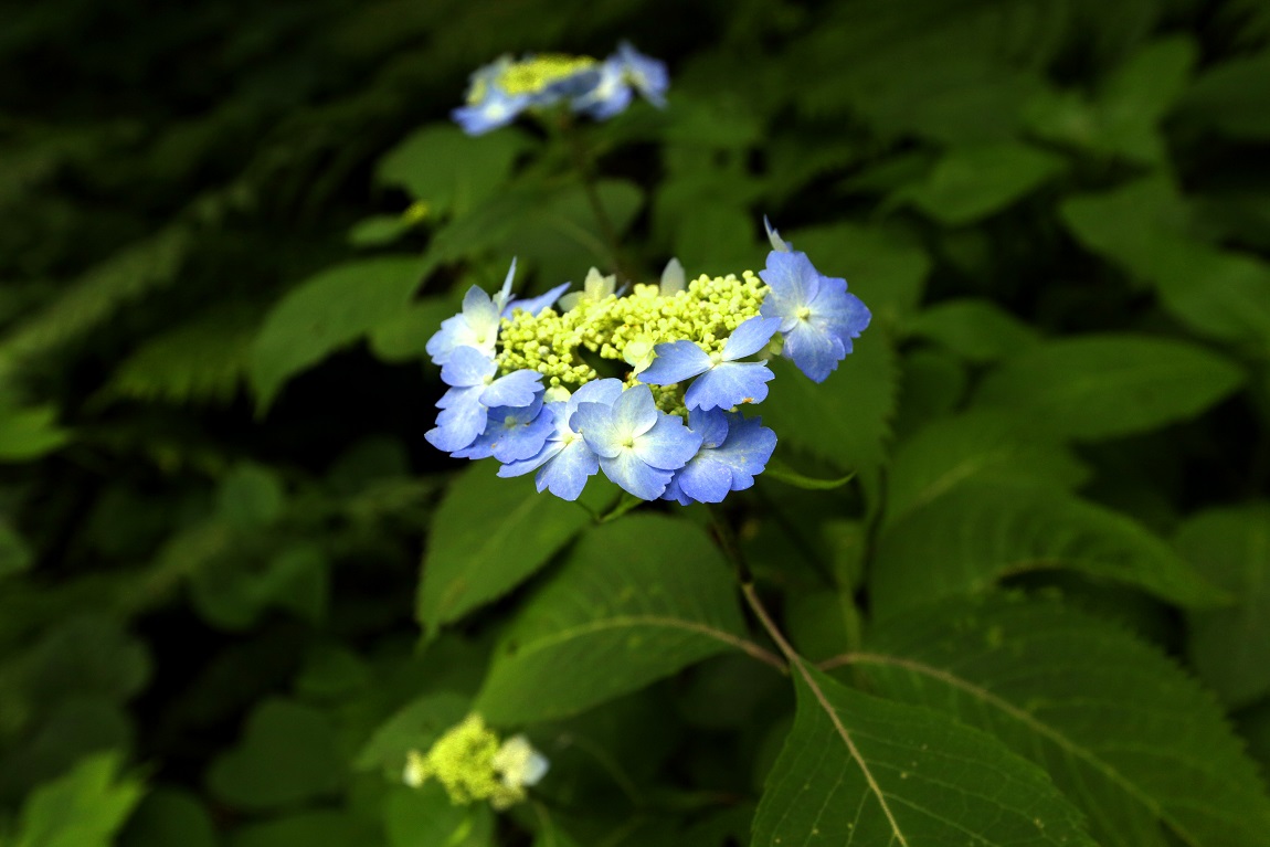 b0062024_21311981.jpg