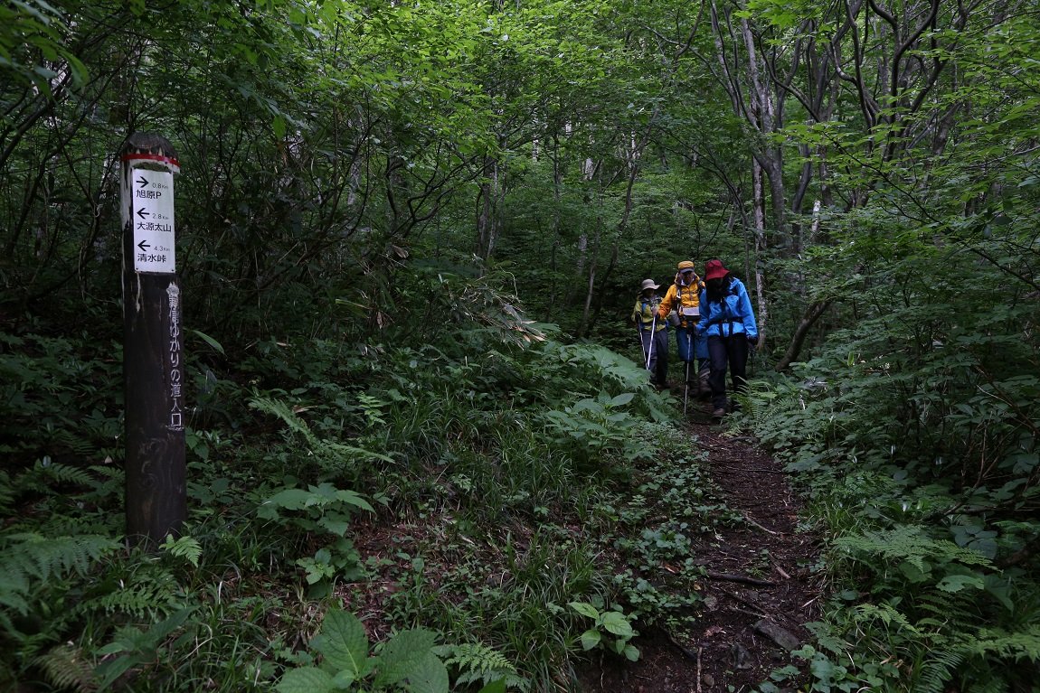 b0062024_21335320.jpg