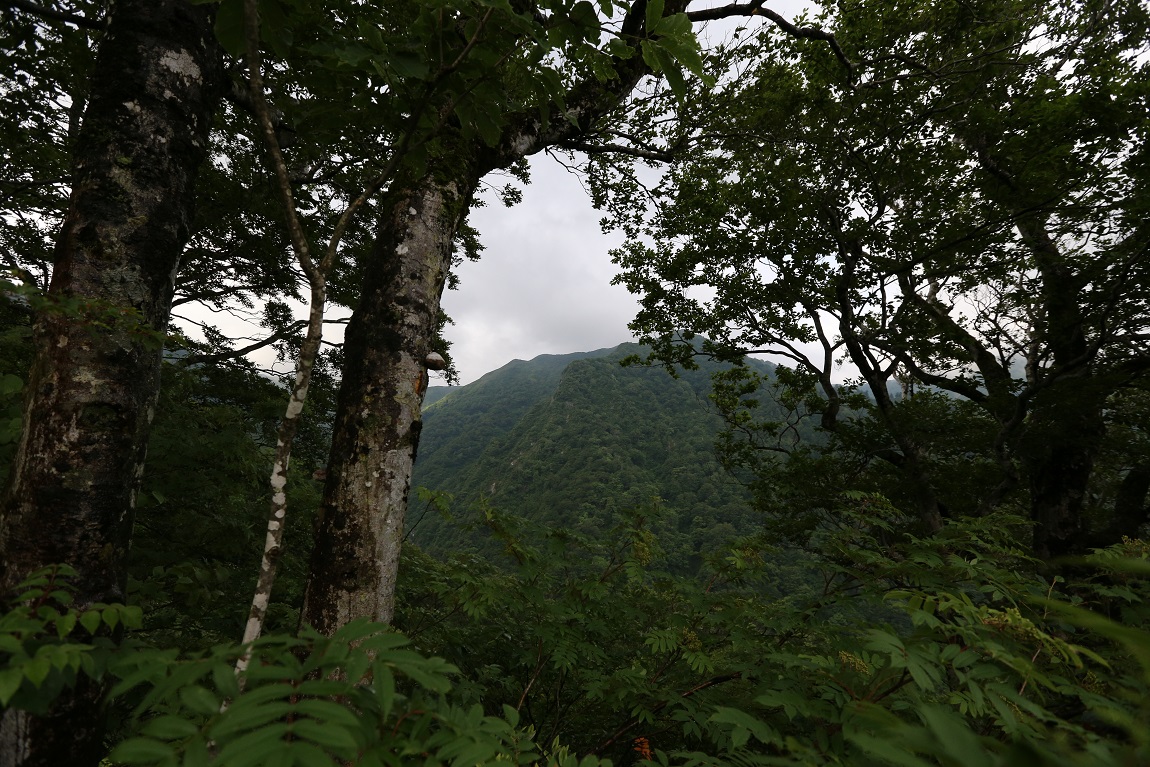 b0062024_2145572.jpg
