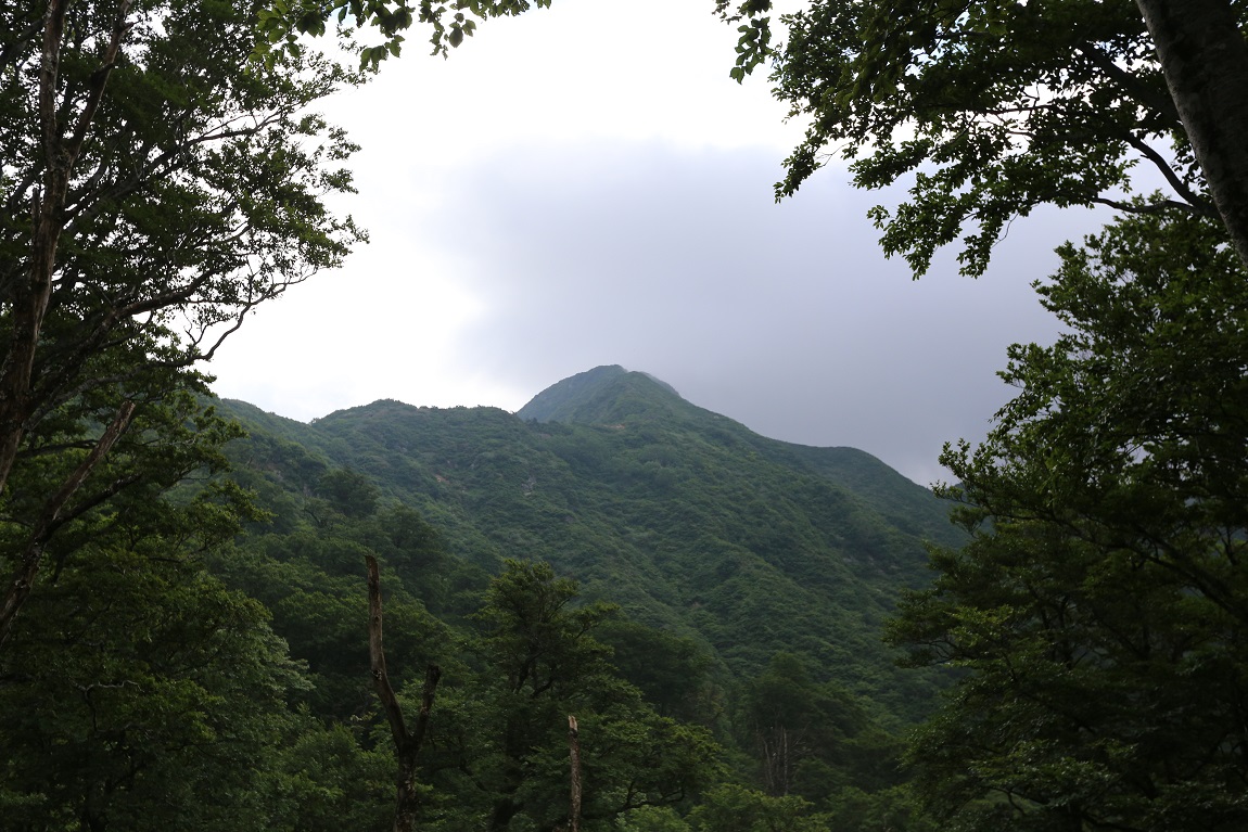 b0062024_215581.jpg