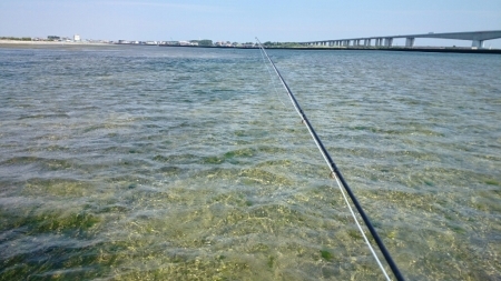 b0259124_08440270.jpg