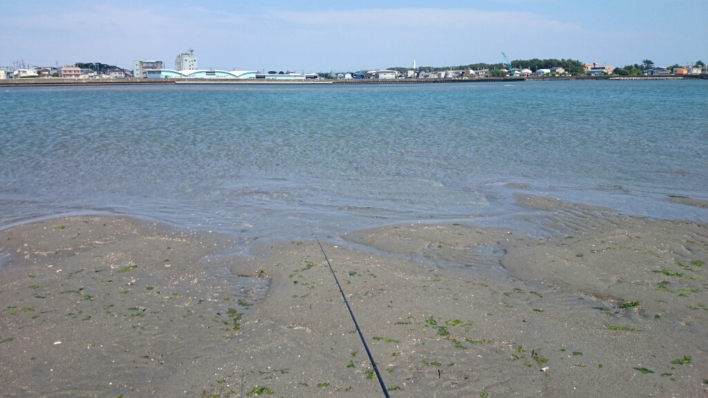 b0259124_08441089.jpg