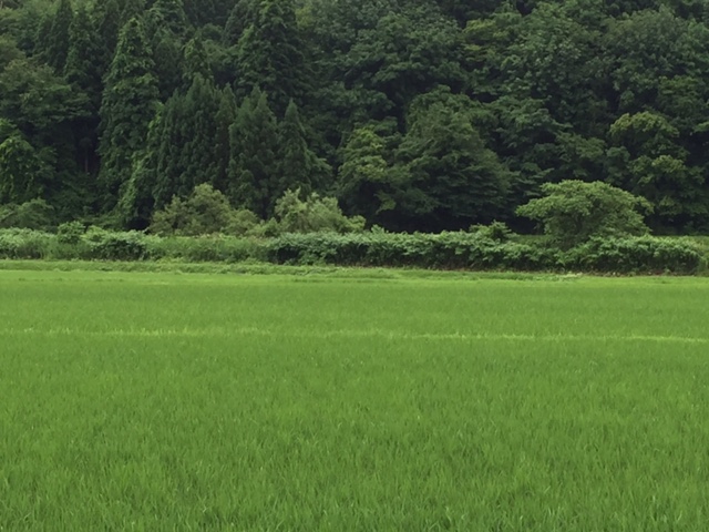 b0311459_1651210.jpg