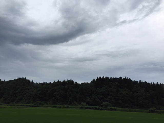 b0311459_1651226.jpg