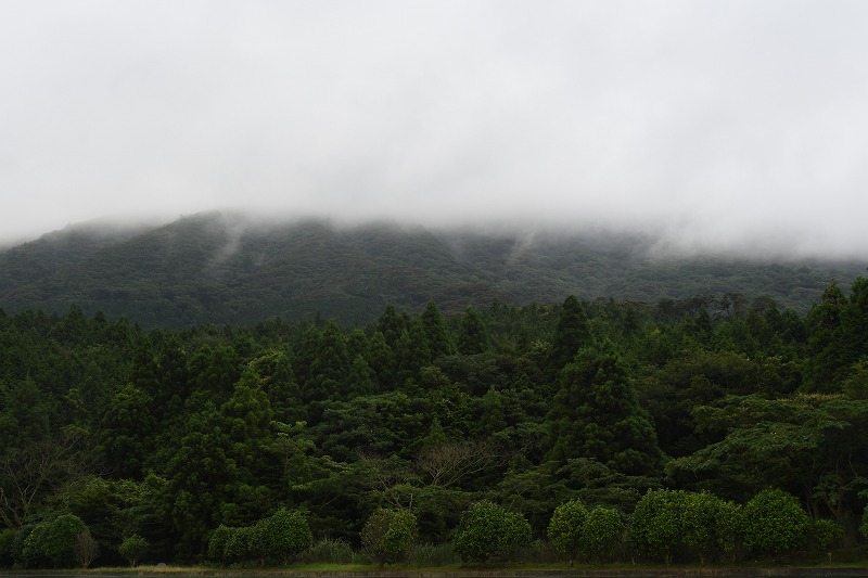 b0104861_1924376.jpg