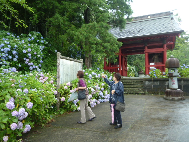 e0278968_2140413.jpg