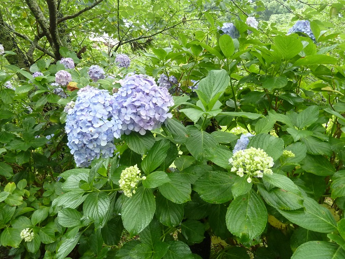 e0278968_22232919.jpg