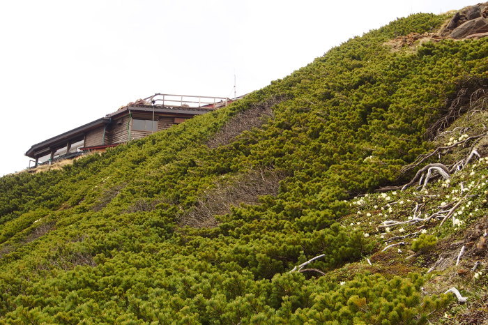 e0307372_21215078.jpg
