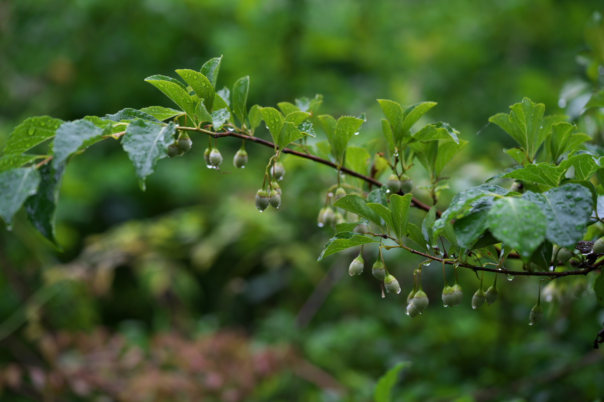 a0083081_16254179.jpg