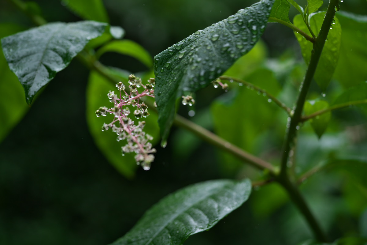 a0083081_1626142.jpg