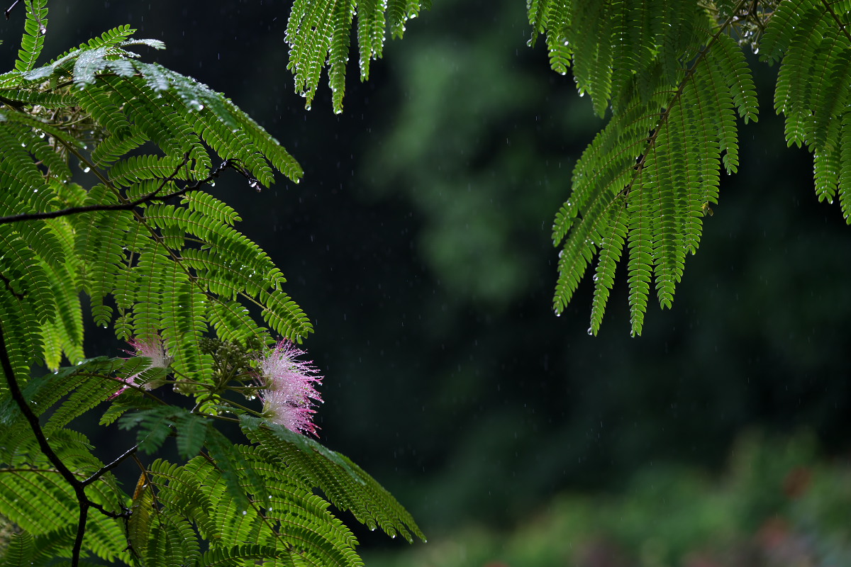 a0083081_16262781.jpg