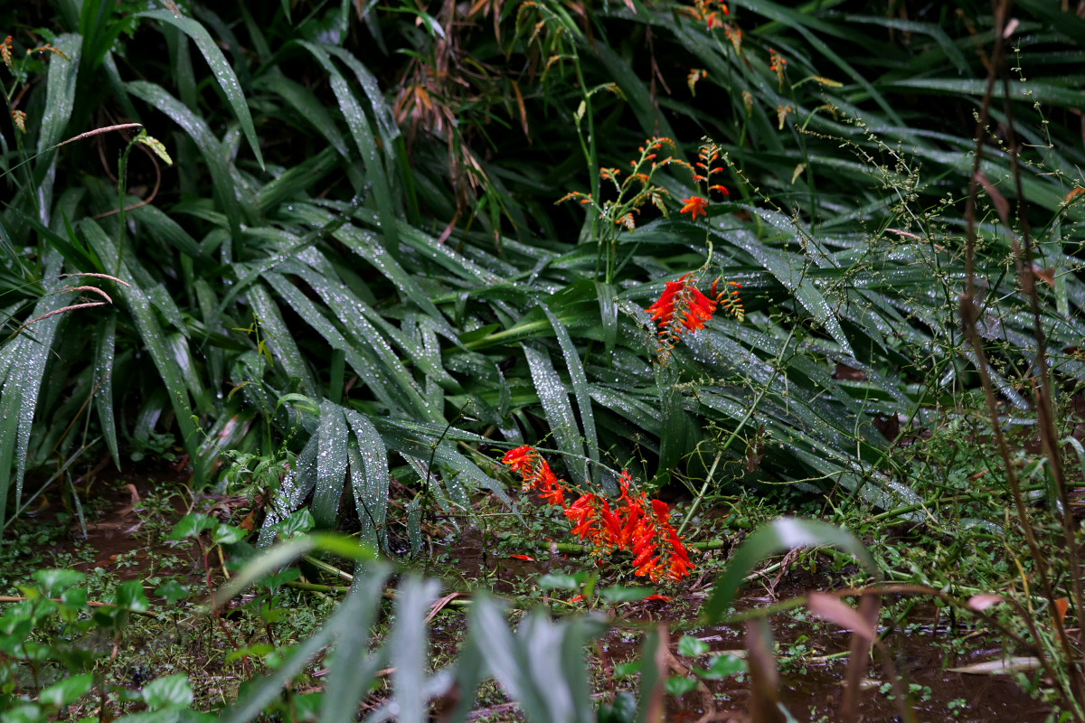 a0083081_16264863.jpg
