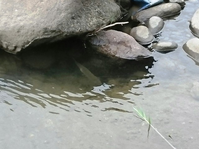 c0157482_09485792.jpg