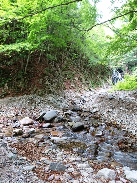 c0157482_09560401.jpg