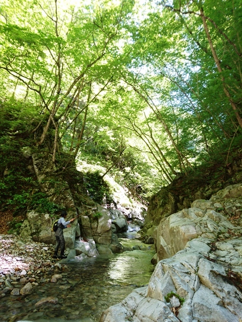 c0157482_09563129.jpg