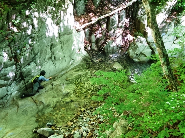c0157482_09564125.jpg