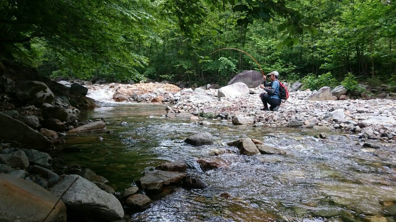 c0157482_12012806.jpg
