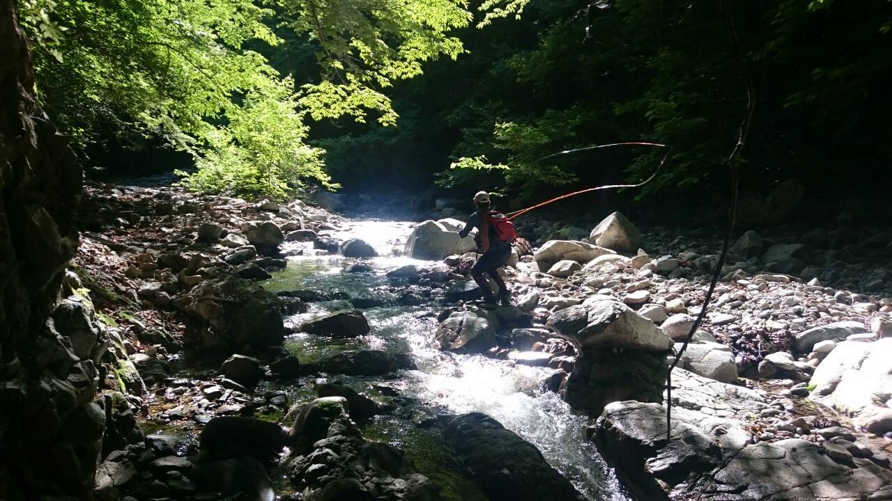 c0157482_12034372.jpg