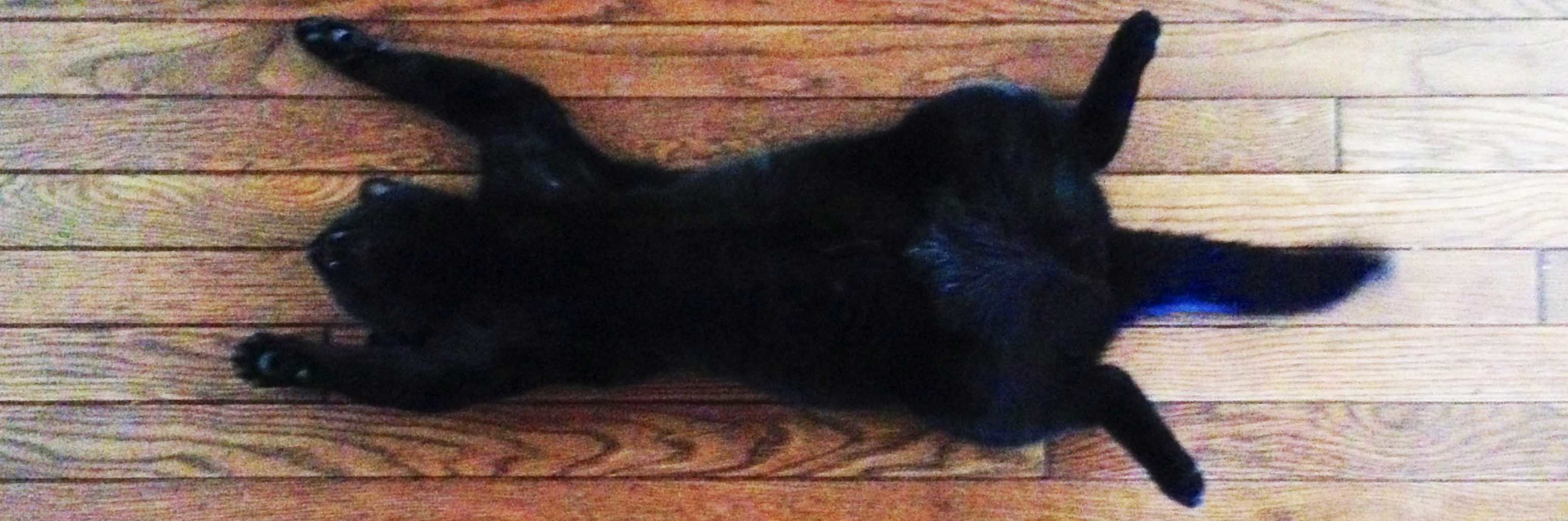 c0170789_16264004.jpg