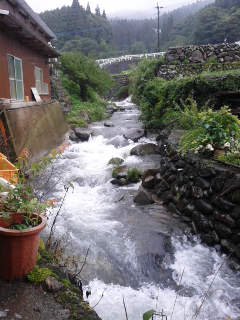 c0123401_23431753.jpg