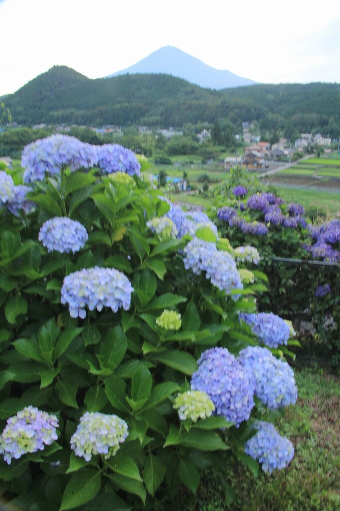 a0188405_07104956.jpg