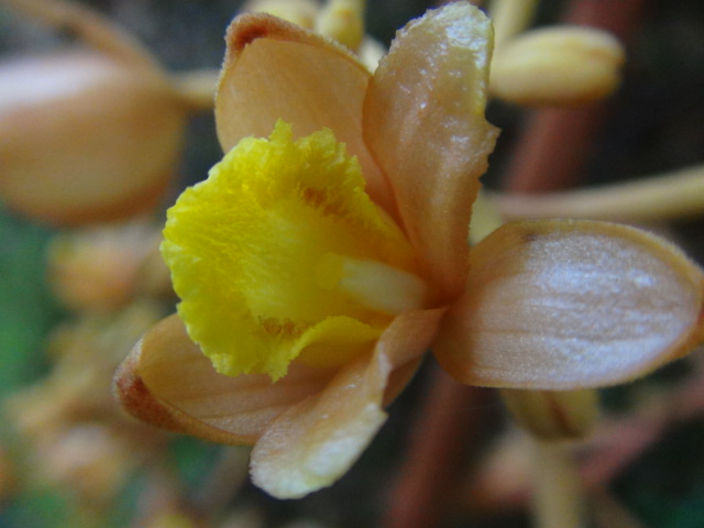 f0231709_934878.jpg